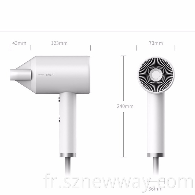 Zhibai Blow Dryer